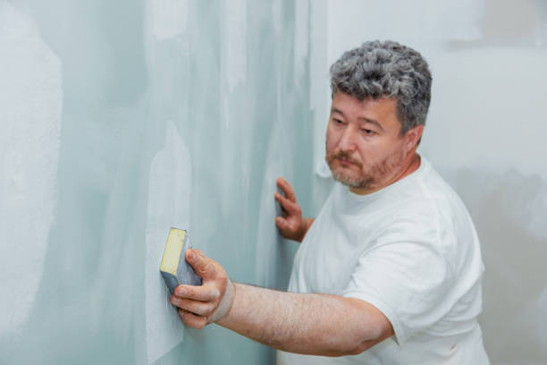 Best Mold Prevention Services  in USA